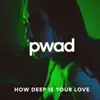 pwad - How Deep Is Your Love - Single